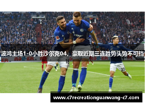 波鸿主场1-0小胜沙尔克04，豪取近期三连胜势头势不可挡